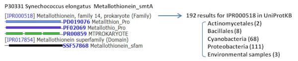 Structure of bacterial metallothionein, and taxonomic distribution of metallothionein family 14 (as of May 2013).